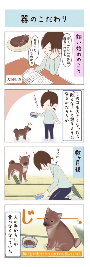 柴犬との日常を描いた4コママンガ。器のこだわりについて。