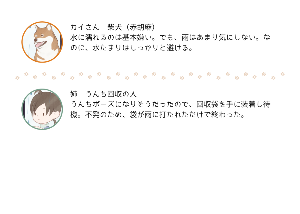 『きっと、あしたも柴日和』の登場キャラクター紹介