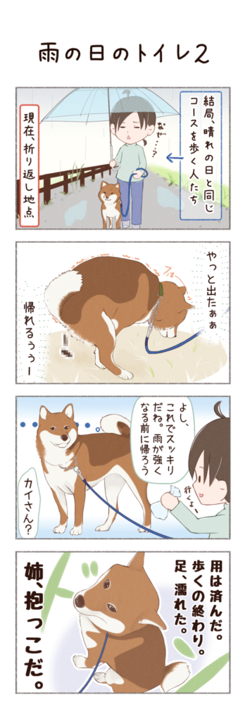柴犬との日常を描いた4コママンガ。タイトル「雨の日のトイレ2」。柴犬カイさんの、雨の日のトイレ事情のお話。1枚目