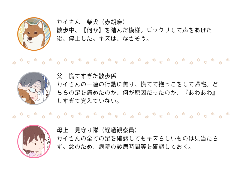 『きっと、あしたも柴日和』の登場キャラクター紹介