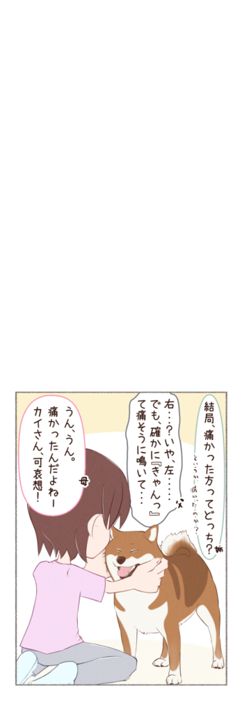 柴犬との日常を描いた4コママンガ。タイトル「痛い・・・?2」。柴犬カイさんが足を痛めて帰ってきた(?)、その後のお話。2枚目