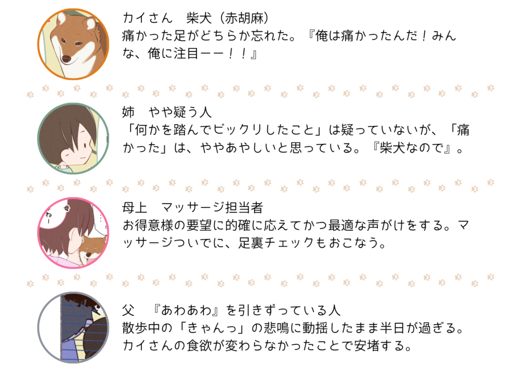 『きっと、あしたも柴日和』の登場キャラクター紹介
