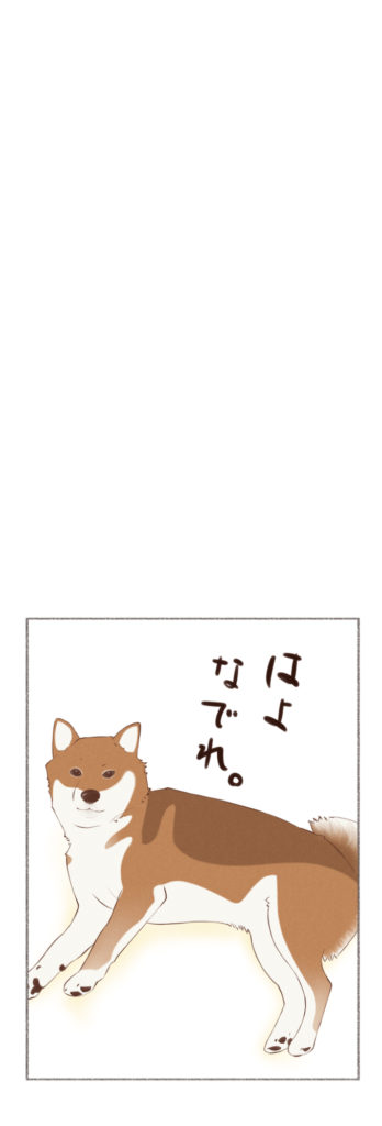 柴犬との日常を描いた4コママンガ。タイトル「撫でろ」。柴犬カイさんが撫でて欲しくて催促しているお話。2枚目