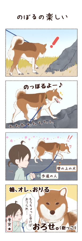 柴犬との日常を描いた4コママンガ。タイトル「のぼるの楽しい」。柴犬カイさんがお散歩中に見つけた楽しい道のお話。1枚目