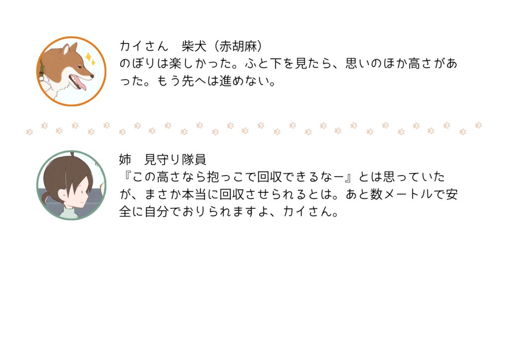 『きっと、あしたも柴日和』の登場キャラクター紹介