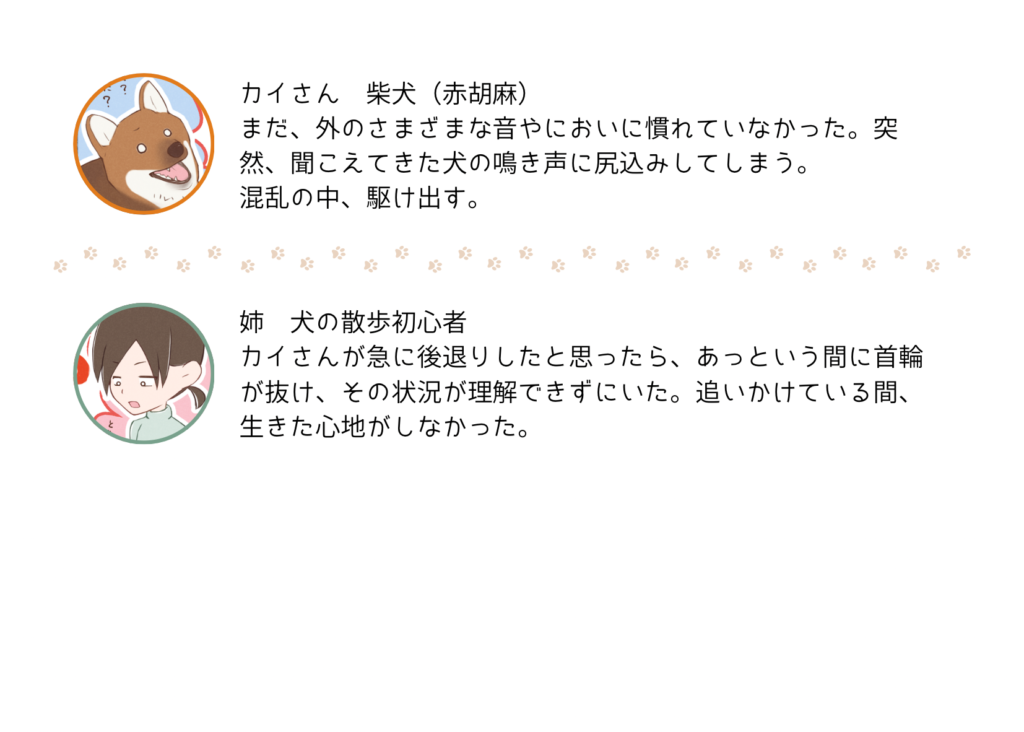 『きっと、あしたも柴日和』の登場キャラクター紹介