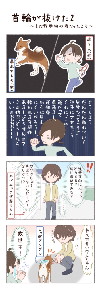柴犬との日常を描いた4コママンガ。タイトル「首輪が抜けた2」。柴犬カイさんの首輪が取れ、暴走してしまったときのお話。1枚目