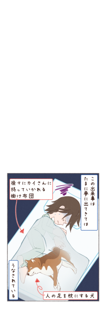 柴犬との日常を描いた4コママンガ。タイトル「首輪が抜けた2」。柴犬カイさんの首輪が取れ、暴走してしまったときのお話。2枚目