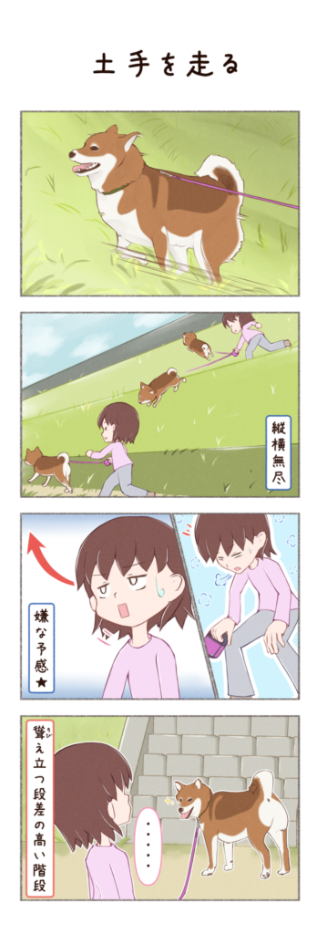 柴犬との日常を描いた4コママンガ。タイトル「土手を走る」。柴犬カイさんが土手を縦横無尽に走るお話。1枚目