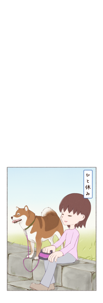 柴犬との日常を描いた4コママンガ。タイトル「土手を走る」。柴犬カイさんが土手を縦横無尽に走るお話。2 枚目