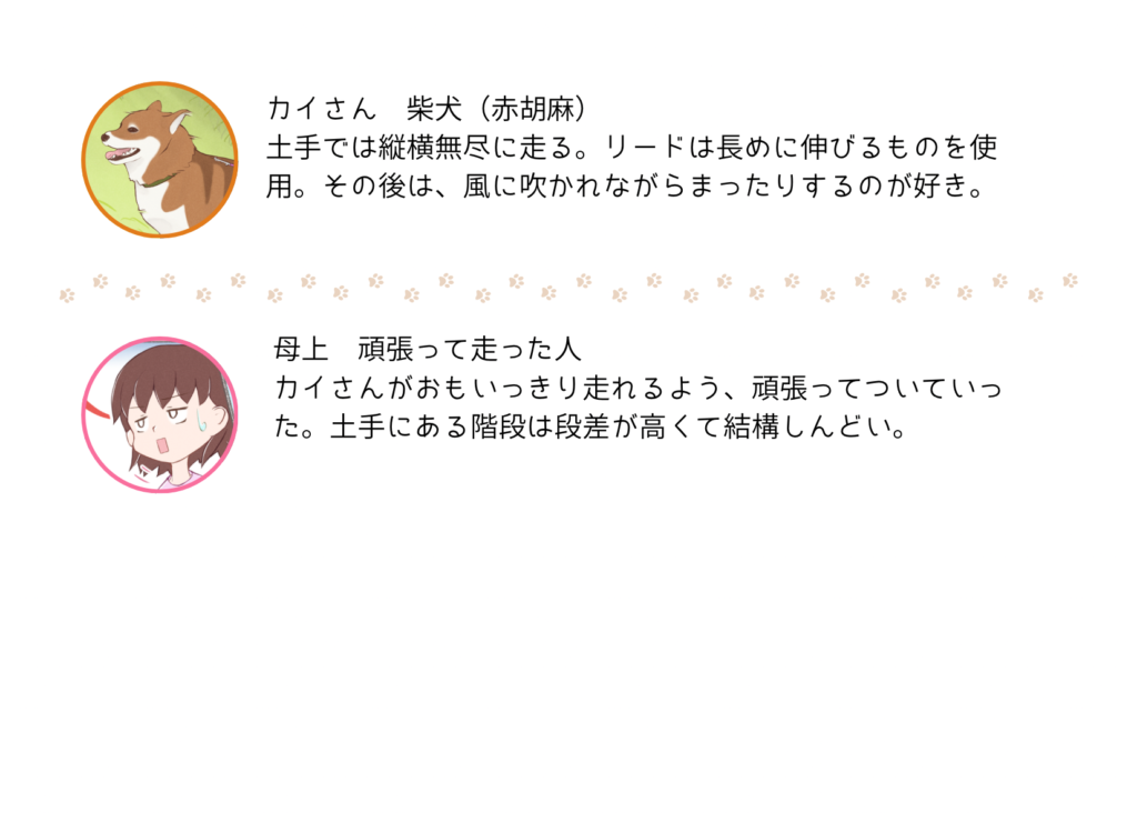 『きっと、あしたも柴日和』の登場キャラクター紹介