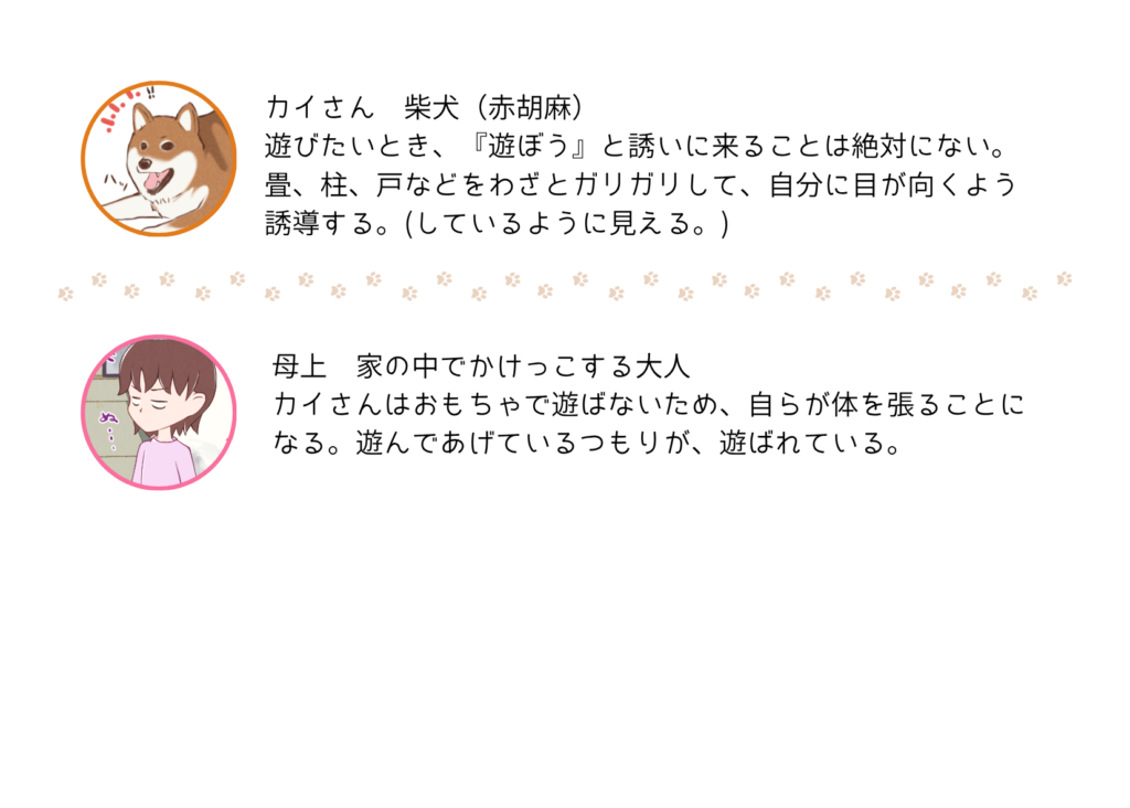 『きっと、あしたも柴日和』の登場キャラクター紹介