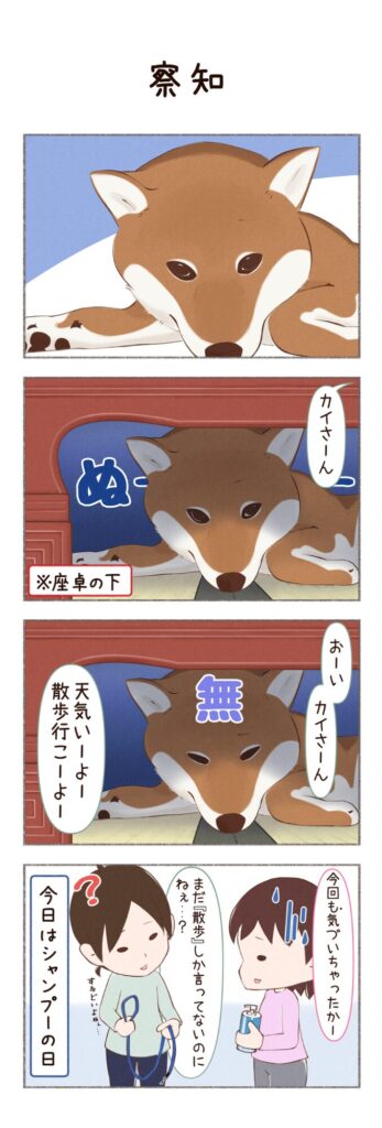 柴犬との日常を描いた4コママンガ。タイトル「察知」。シャンプーを巡る攻防の様子