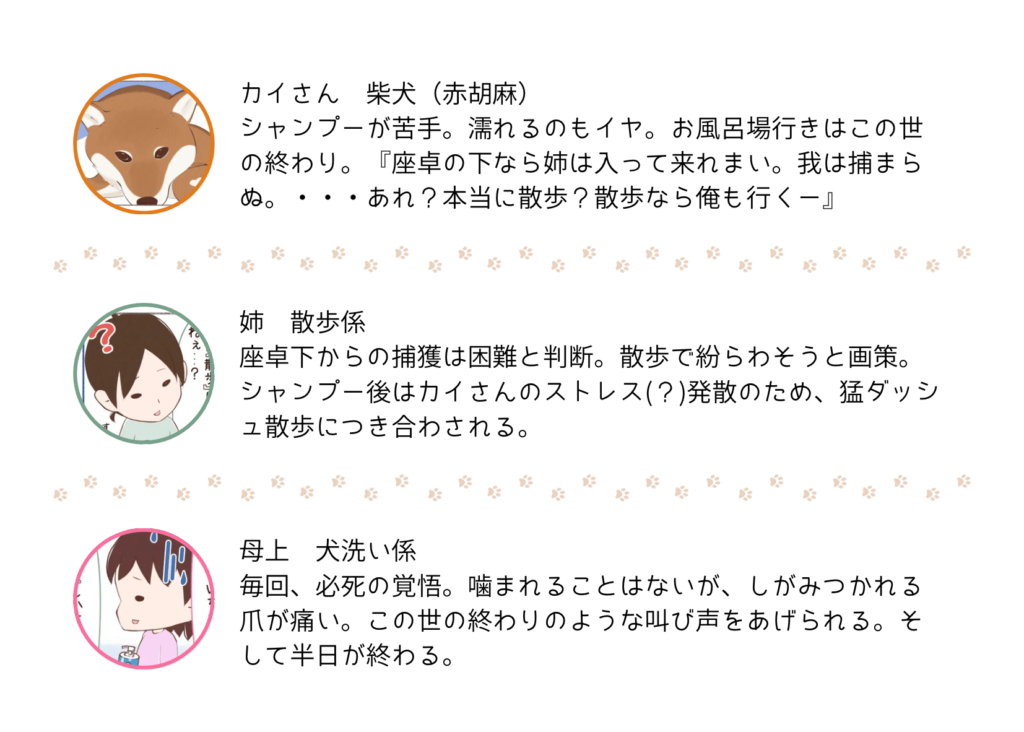 『きっと、あしたも柴日和』の登場キャラクター紹介