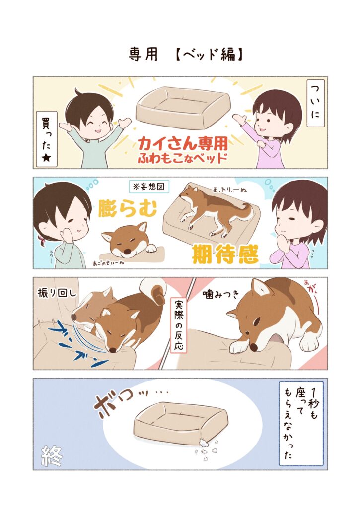 柴犬との日常を描いた4コママンガ。タイトル「専用【ベッド編】」。犬用ベッドにまつわるお話。