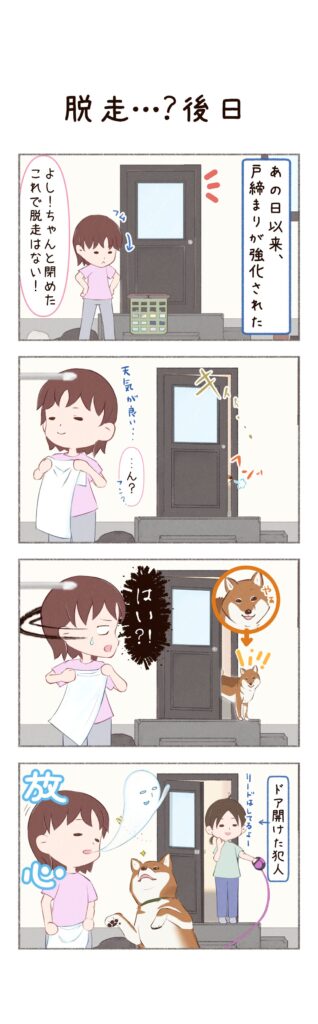 柴犬との日常を描いた4コママンガ。タイトル「脱走・・・?後日」。脱走してしまったお話の後日談。