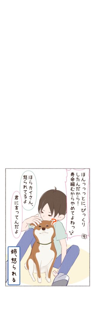 柴犬との日常を描いた1コマ。タイトル「脱走・・・?後日」。脱走してしまったお話の後日談。