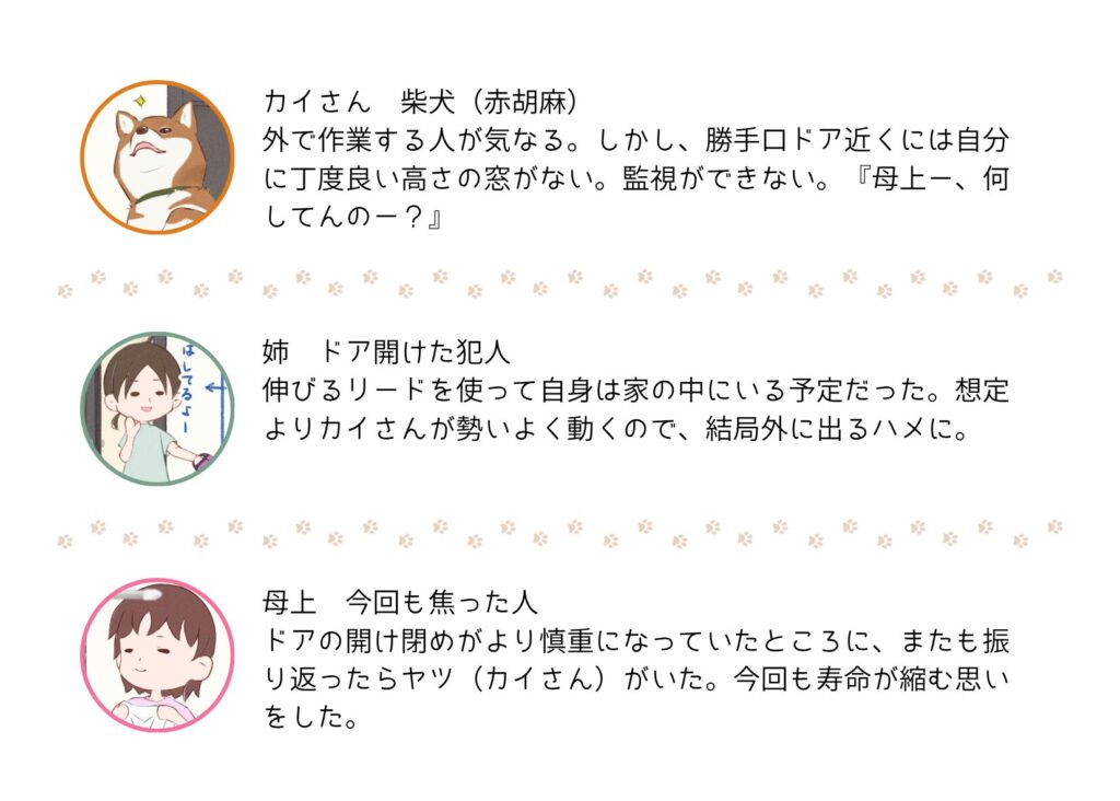 『きっと、あしたも柴日和』の登場キャラクター紹介