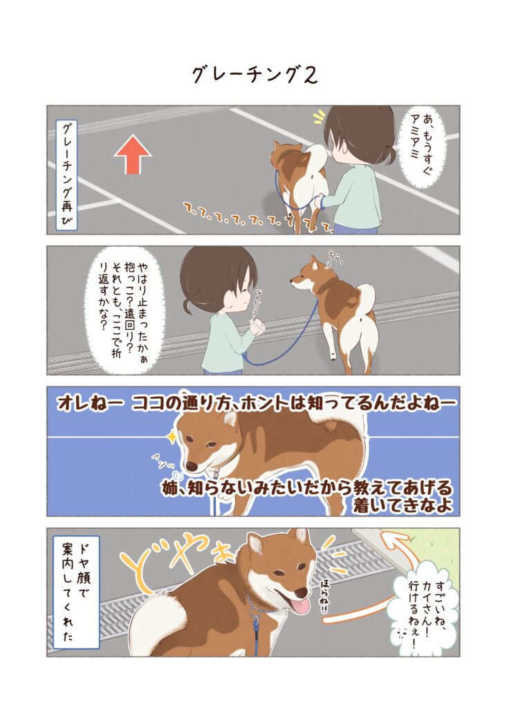柴犬との日常を描いた4コママンガ。タイトル「グレーチング2」。グレーチングにまつわるお話で、前回の続き。