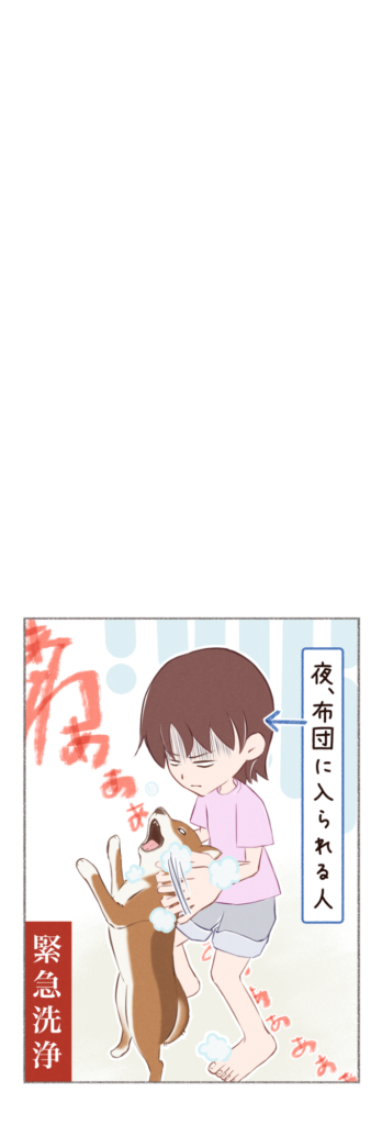 柴犬との日常を描いた4コママンガ。タイトル「ずりずりぃぃ」。柴犬のカイさんが散歩中、突然地面に体を擦りつけ出したお話。2枚目
