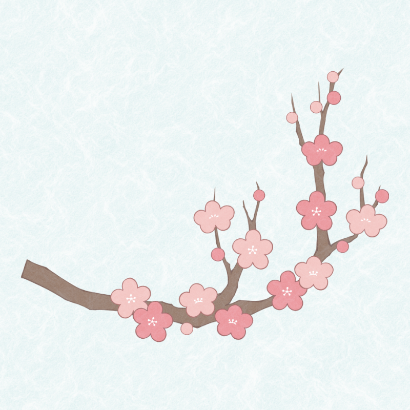 特徴的な枝にたくさんの花が咲き誇る梅の花のイラスト。お正月の年賀状に使える装飾イラスト。プレビュー用。