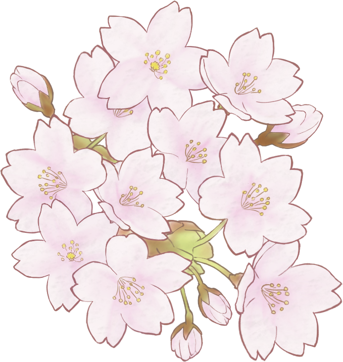 桜 花 まとまり イラスト 透過