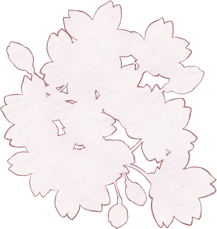 桜 花 まとまり　水彩風 イラスト 透過
