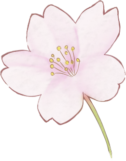 桜 花びら 一輪 イラスト 透過