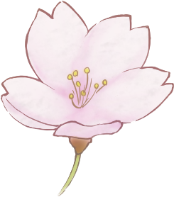 桜 花びら 一輪 イラスト 透過