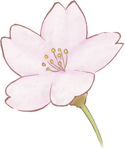 桜 花びら 一輪 イラスト 透過