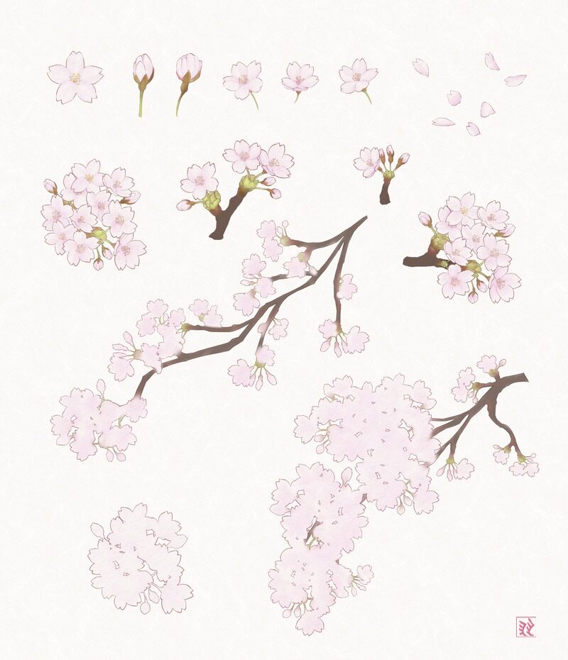 桜 花びら 散る 枝　蕾　イラスト 一覧