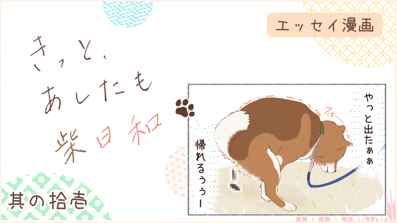 柴犬との暮らしをエッセイ漫画で紹介。『きっと、あしたも柴日和』の第11話。アイキャッチ