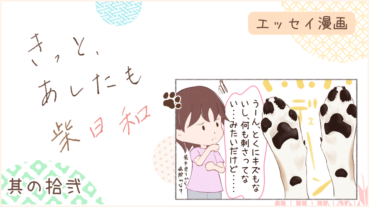 柴犬との暮らしをエッセイ漫画で紹介。『きっと、あしたも柴日和』の第12話。アイキャッチ
