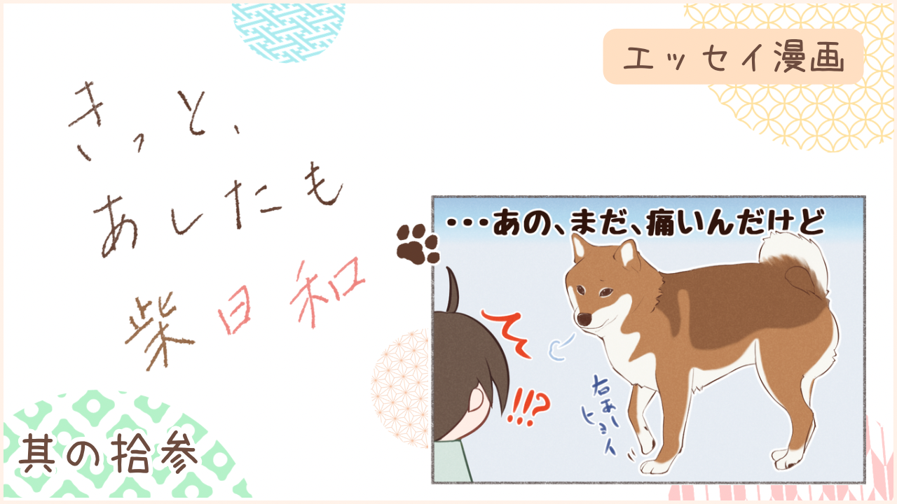 柴犬との暮らしをエッセイ漫画で紹介。『きっと、あしたも柴日和』の第13話。アイキャッチ