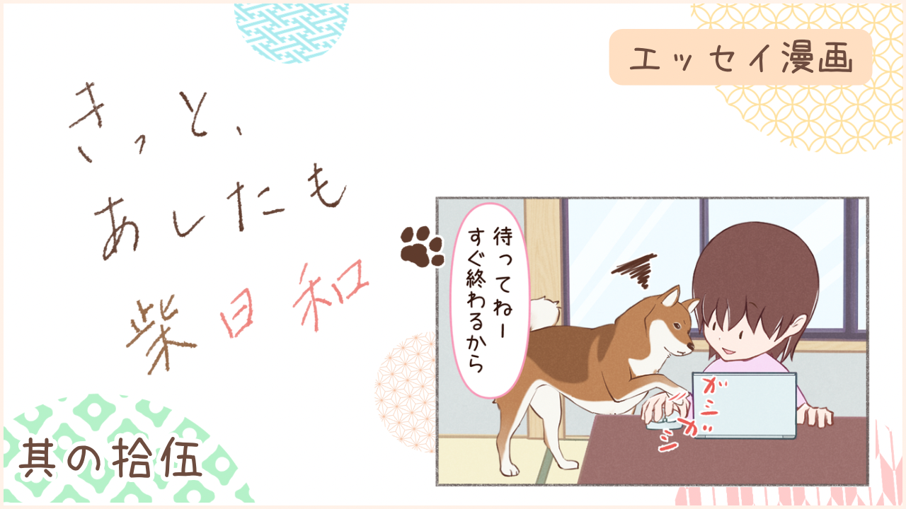 柴犬との暮らしをエッセイ漫画で紹介。『きっと、あしたも柴日和』の第15話。アイキャッチ