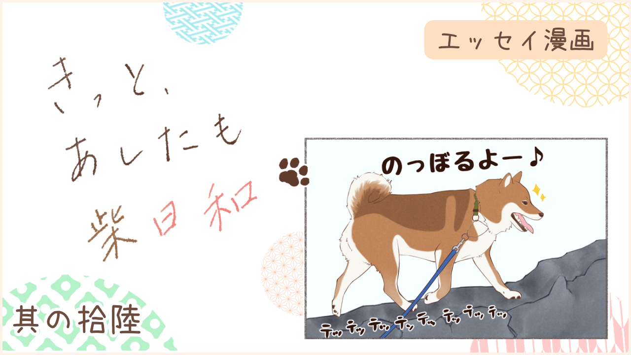 柴犬との暮らしをエッセイ漫画で紹介。『きっと、あしたも柴日和』の第16話。アイキャッチ