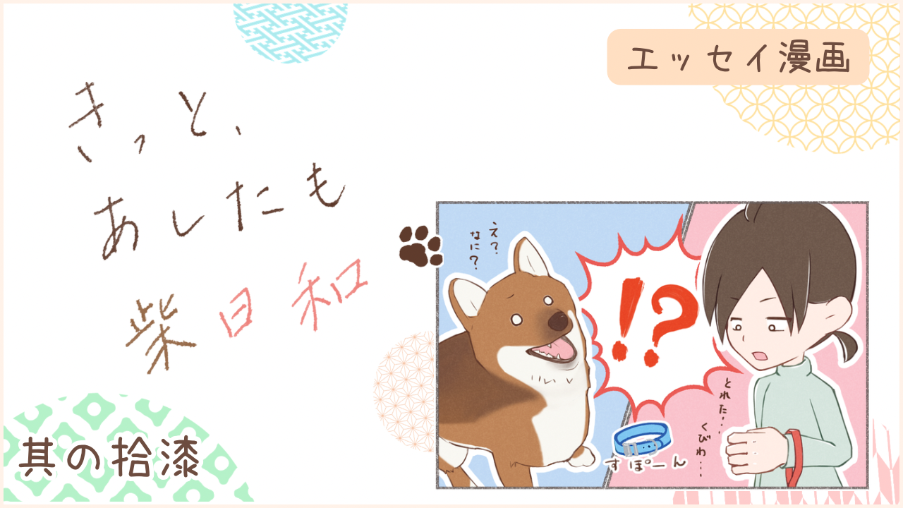 柴犬との暮らしをエッセイ漫画で紹介。『きっと、あしたも柴日和』の第17話。アイキャッチ