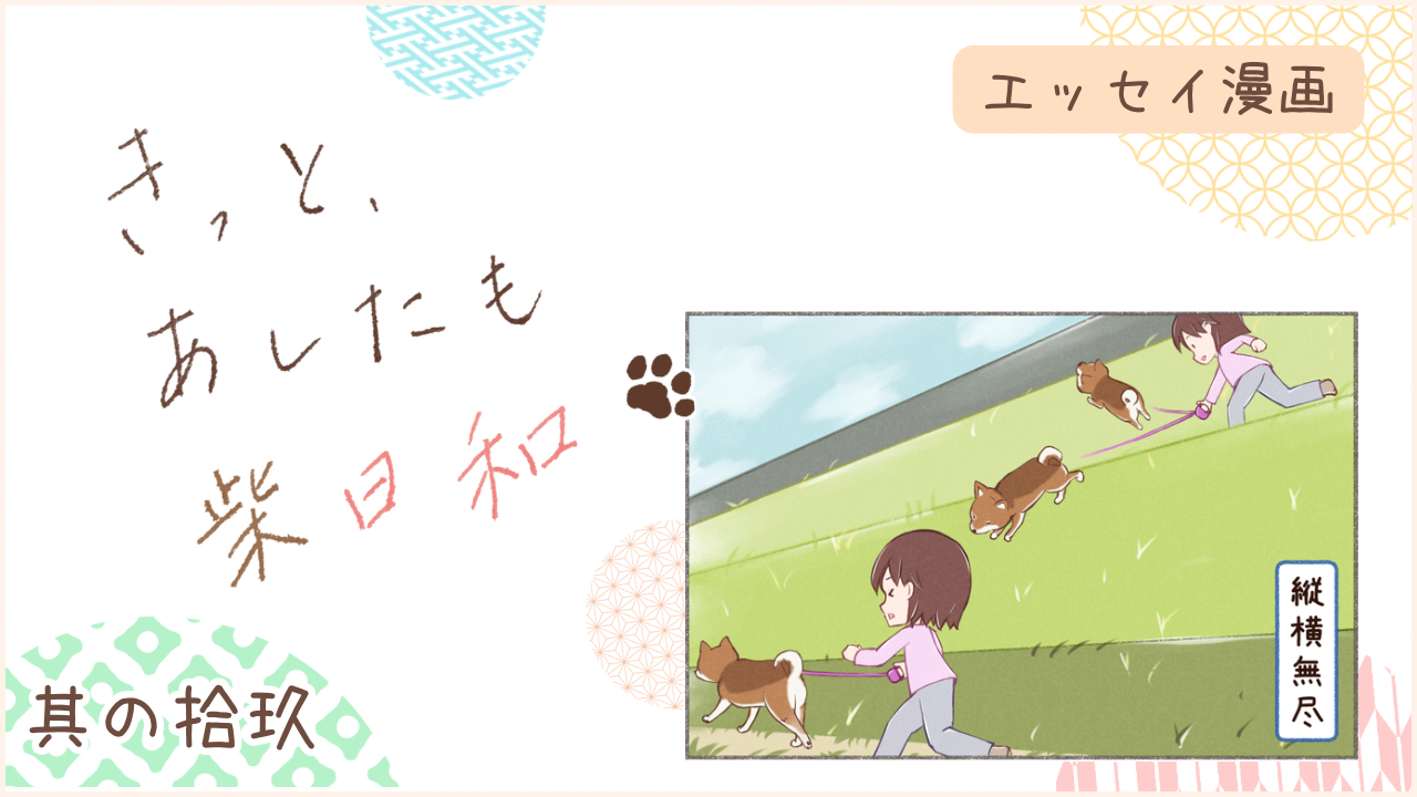 柴犬との暮らしをエッセイ漫画で紹介。『きっと、あしたも柴日和』の第19話。アイキャッチ