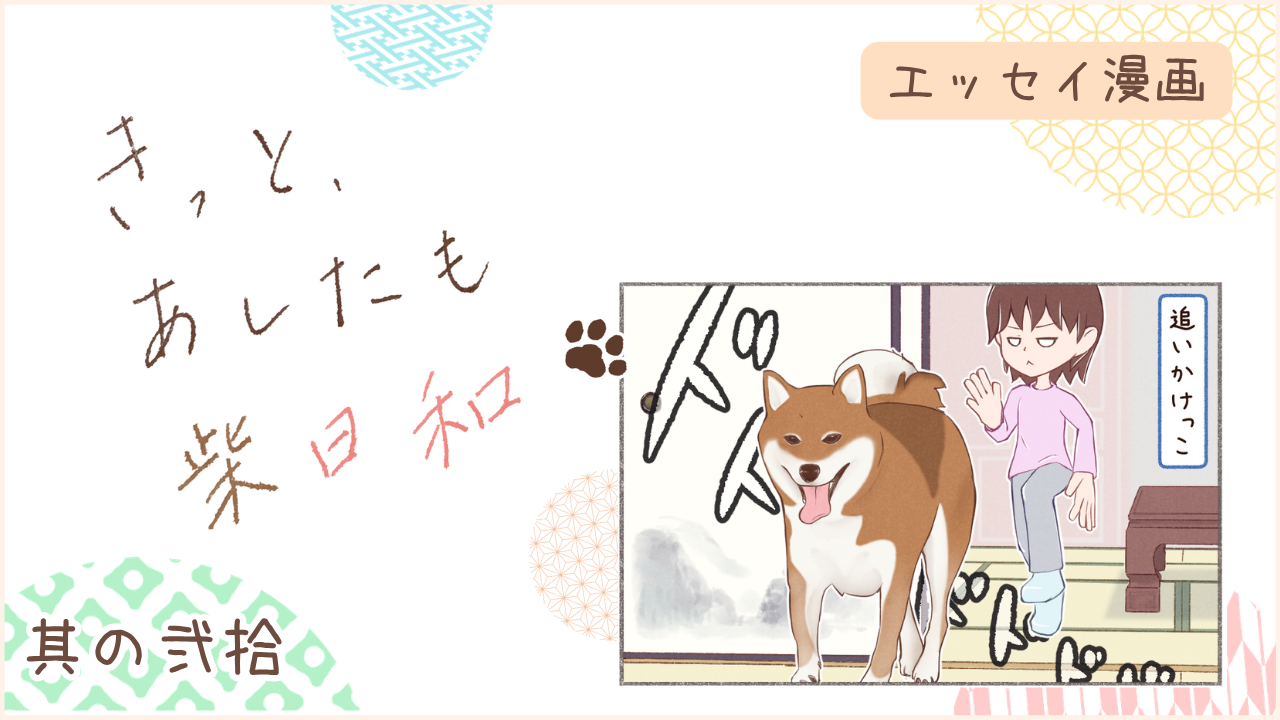 柴犬との暮らしをエッセイ漫画で紹介。『きっと、あしたも柴日和』の第20話。アイキャッチ
