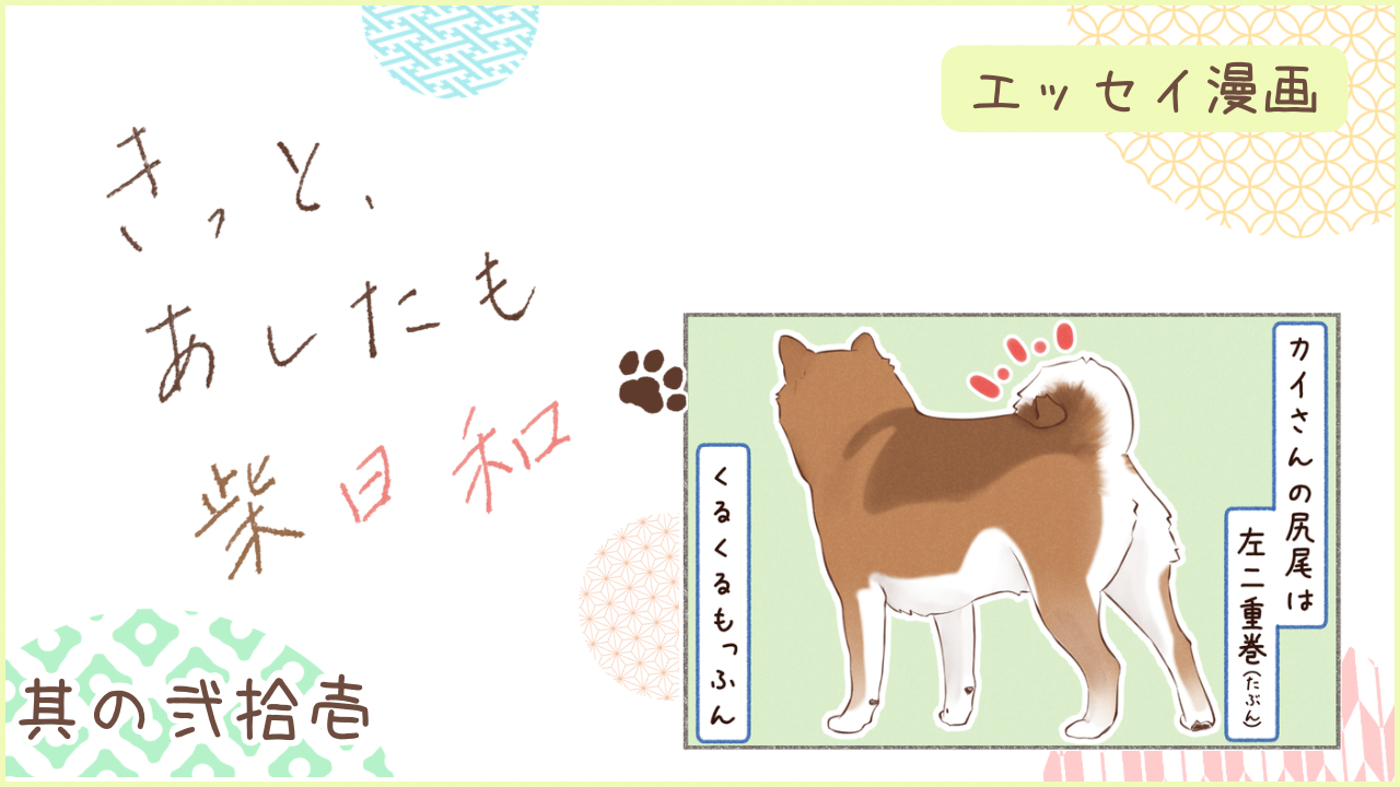 柴犬との暮らしをエッセイ漫画で紹介。『きっと、あしたも柴日和』の第21話。アイキャッチ