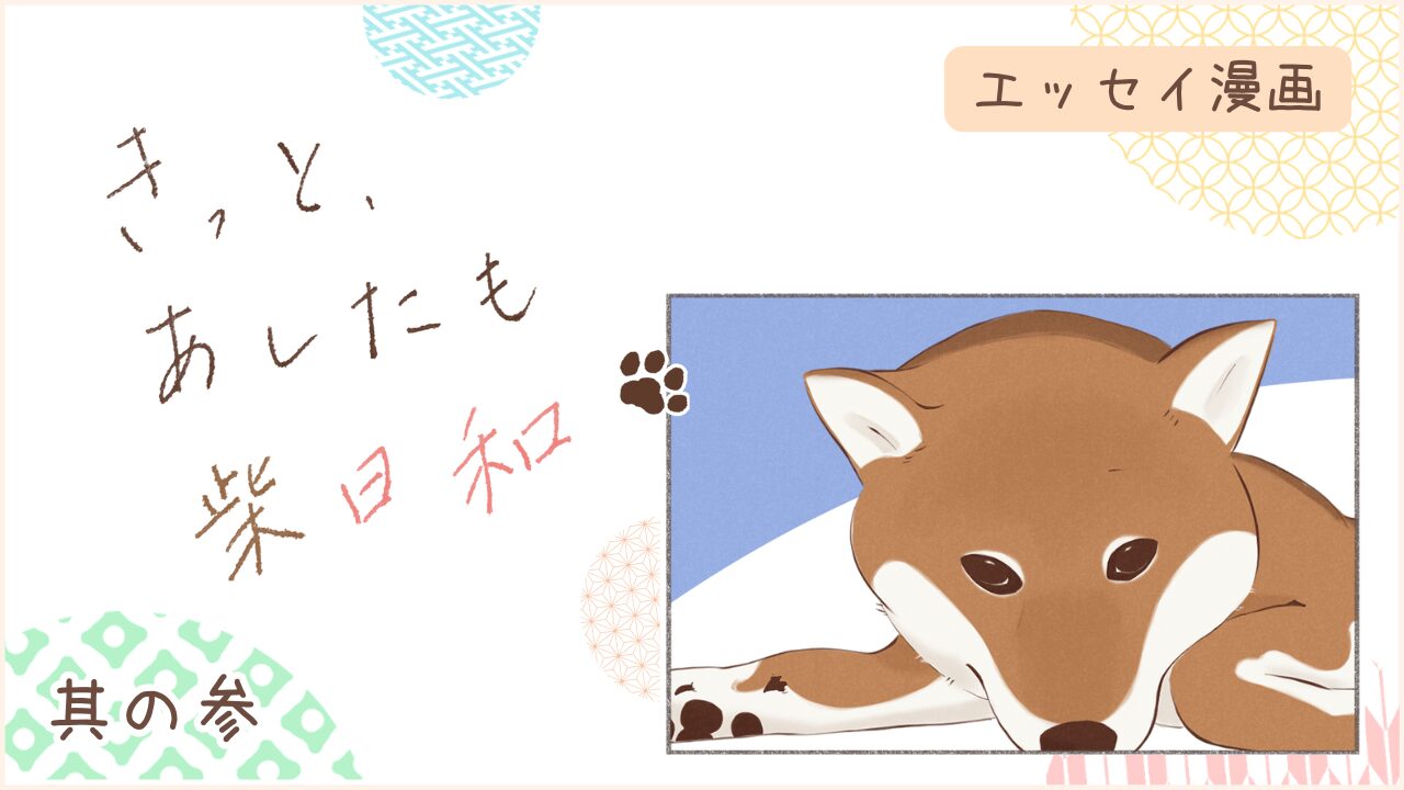 柴犬との暮らしをエッセイ漫画で紹介。『きっと、あしたも柴日和』の第3話。アイキャッチ