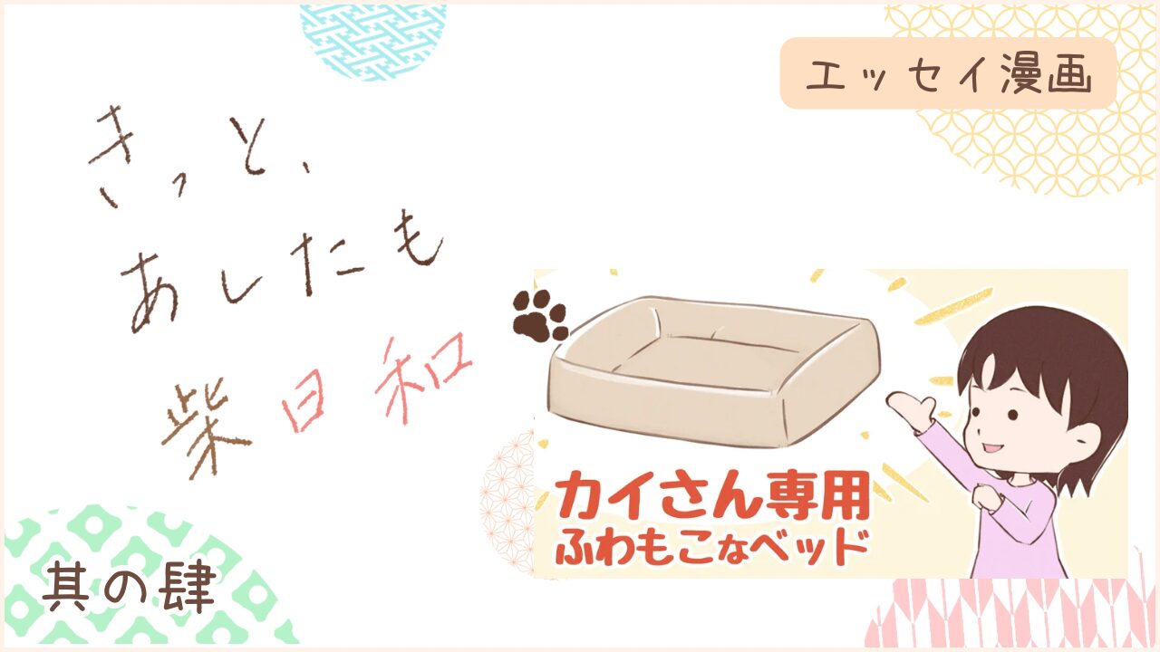 柴犬との暮らしをエッセイ漫画で紹介。『きっと、あしたも柴日和』の第4話。アイキャッチ