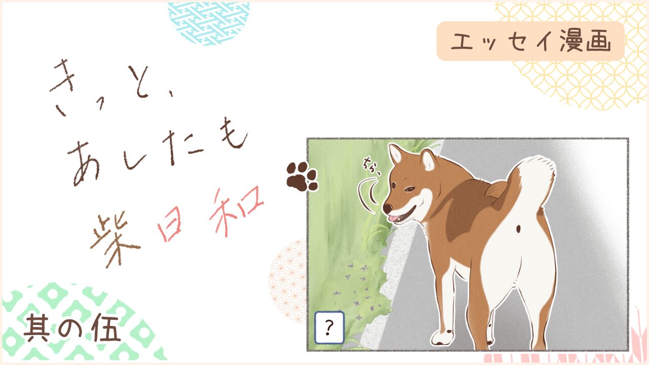 柴犬との暮らしをエッセイ漫画で紹介。『きっと、あしたも柴日和』の第5話。アイキャッチ