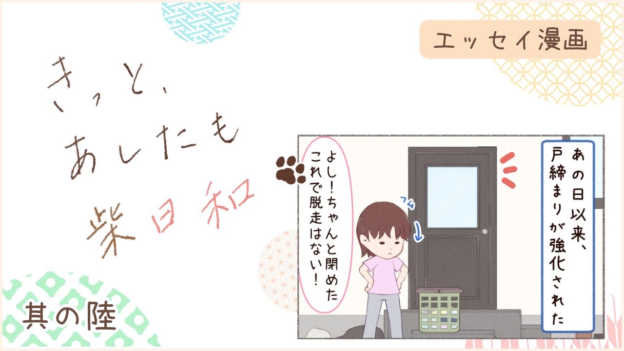柴犬との暮らしをエッセイ漫画で紹介。『きっと、あしたも柴日和』の第6話。アイキャッチ