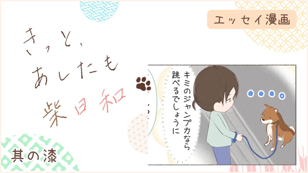 柴犬との暮らしをエッセイ漫画で紹介。『きっと、あしたも柴日和』の第7話。アイキャッチ