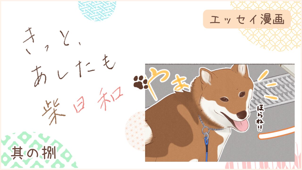 柴犬との暮らしをエッセイ漫画で紹介。『きっと、あしたも柴日和』の第8話。アイキャッチ