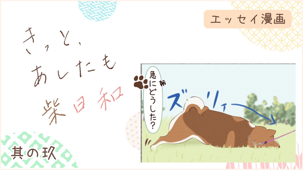 柴犬との暮らしをエッセイ漫画で紹介。『きっと、あしたも柴日和』の第9話。アイキャッチ