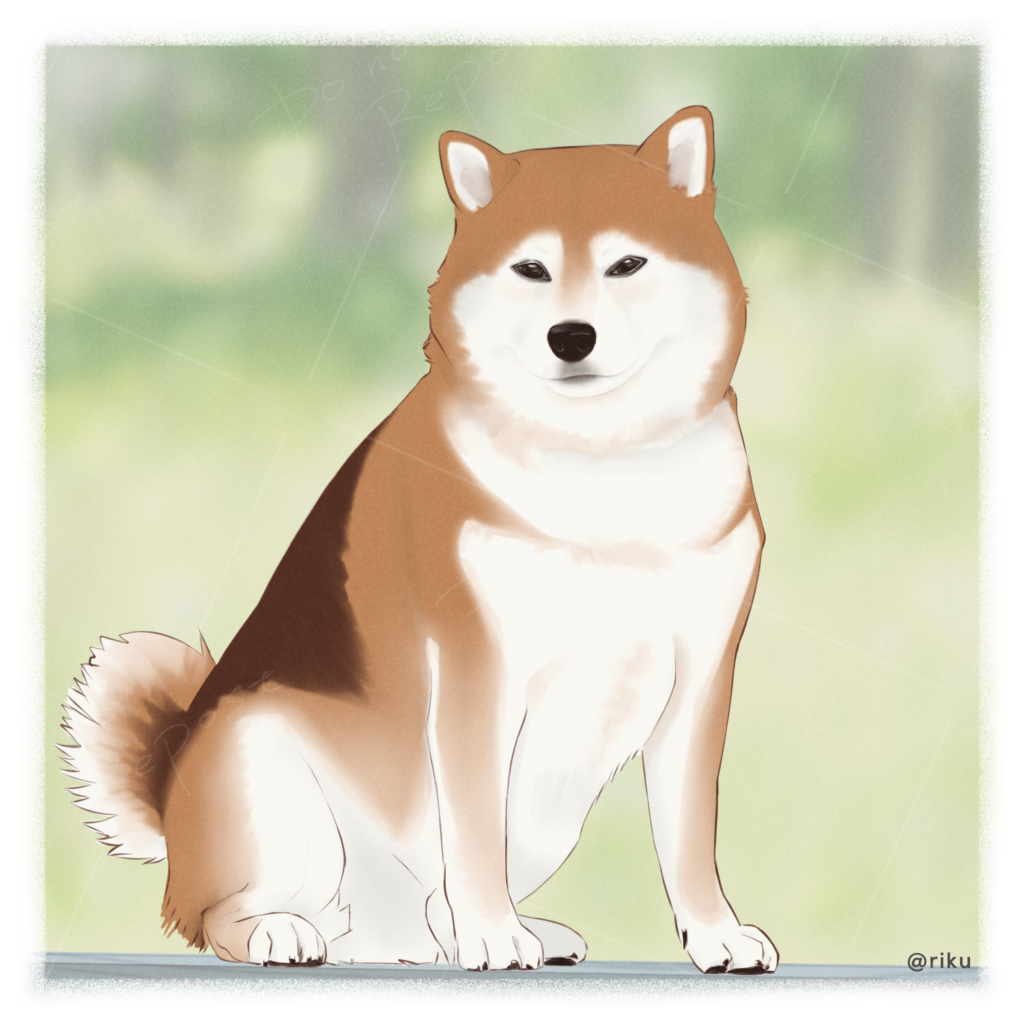 エッセイ漫画で登場している柴犬カイさんを描いたイラスト。