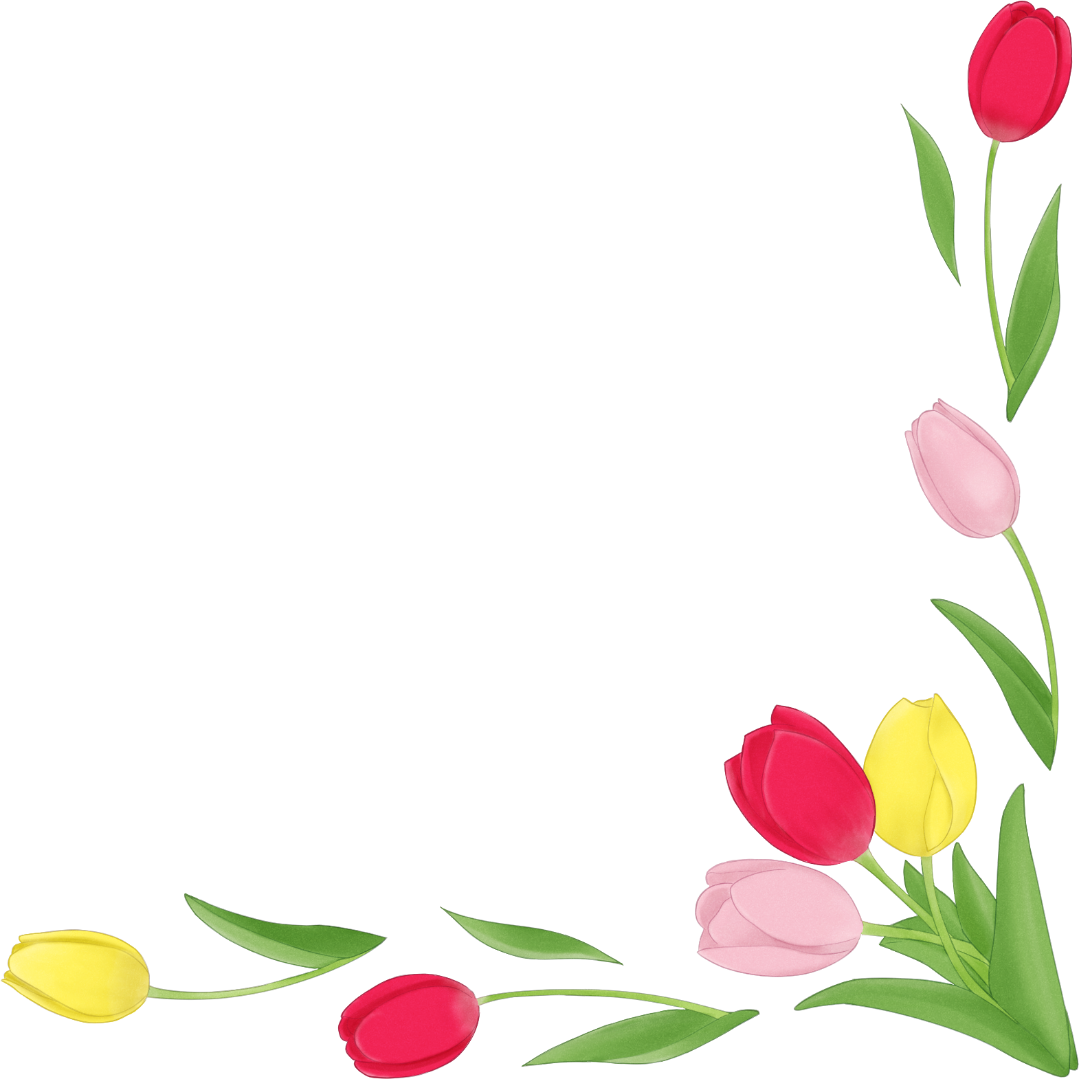 チューリップのコーナー飾り・フレーム素材。華やかな春のデザインに。