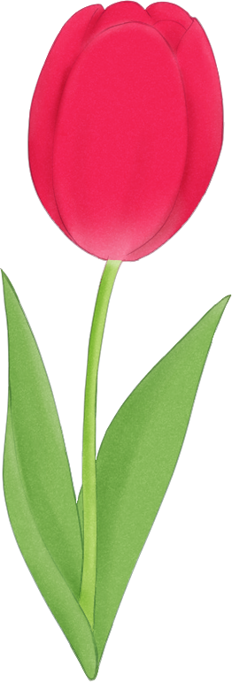 赤いチューリップの一輪イラスト。和風・水彩風の透過素材